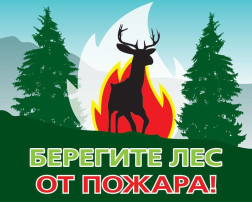 Берегите лес от огня! Берегите лес от огня!.